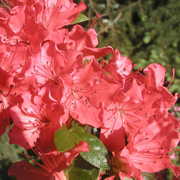 ����  ������ �������� ����� ������, ������ �� 816 ���