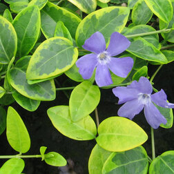 ����  �������� ����� ��� ��� ����, ������ �� 408 ���