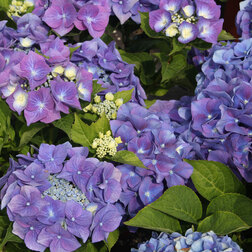 ����  ��������� �������������� ���������, ������ �� 612 ���