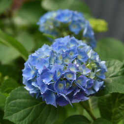 ����  ��������� �������������� ������, ������ �� 612 ���