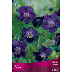 ����  ������ ����� �����, ������ �� 382 ���