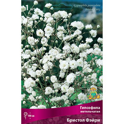 ����  ��������� ����������� ������� �����, ������ �� 535 ���