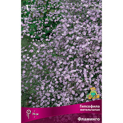 ����  ��������� ����������� ��������, ������ �� 547 ���