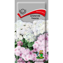 ����  �������� ��������, ������ �� 26 ���