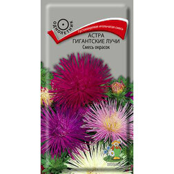 ����  ����� ���������� ���� ����� �������, ������ �� 26 ���