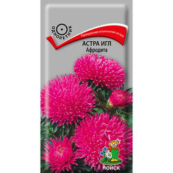 ����  ����� ��� ��������, ������ �� 26 ���