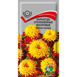 ����  �������� ����������� �������� Ƹ���� �������, ������ �� 26 ���