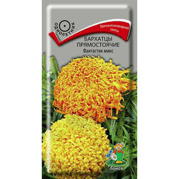 ����  �������� ������������ ��������� ����, ������ �� 26 ���