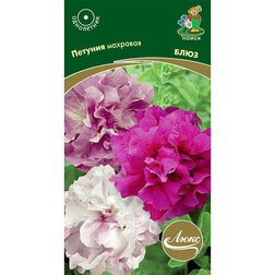 ����  ������� �������� ����, ������ �� 117 ���