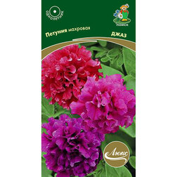 ����  ������� �������� ����, ������ �� 117 ���