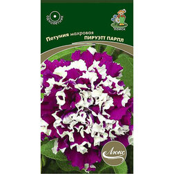 ����  ������� �������� ������� �����, ������ �� 115 ���