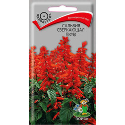 ����  ������� ���������� �����, ������ �� 30 ���