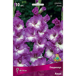 ����  ��������� ����, ������ �� 433 ���