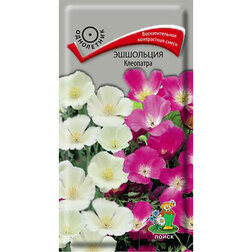 ����  ��������� ���������, ������ �� 26 ���