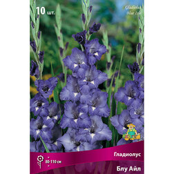 ����  ��������� ��� ���, ������ �� 382 ���