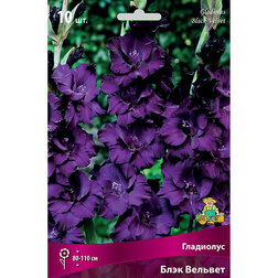 ����  ��������� ���� �������, ������ �� 476 ���