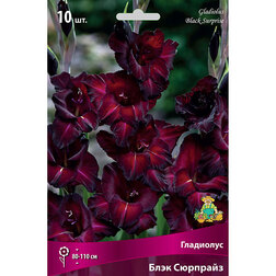 ����  ��������� ���� �������� (10 ��.), ������ �� 476 ���