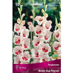 ����  ��������� ���� ��� ������, ������ �� 382 ���