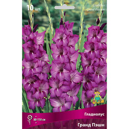 ����  ��������� ����� ����, ������ �� 476 ���