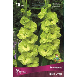 ����  ��������� ���� ����, ������ �� 433 ���