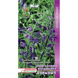 ����  ������������ ���������� �������, ������ �� 30 ���