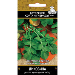 ����  ����� (������) ��������, ������ �� 29 ���