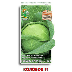 ����  ������� ������������ ������� F1, ������ �� 52 ���