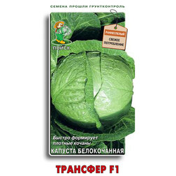 ����  ������� ������������ �������� F1, ������ �� 31 ���