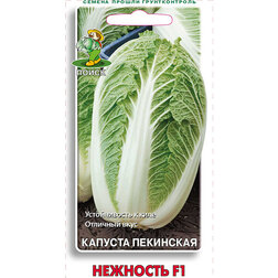 ����  ������� ��������� �������� F1, ������ �� 29 ���