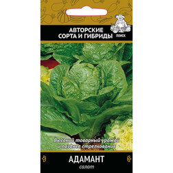 ����  ����� ������� (��� �����), ������ �� 29 ���