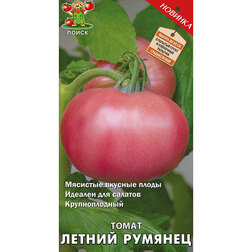 ����  ����� ������ �������, ������ �� 32 ���