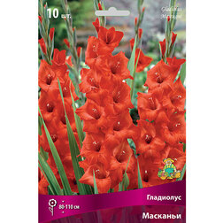 ����  ��������� ��������, ������ �� 433 ���