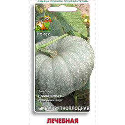 ����  ����� ������������� ��������, ������ �� 29 ���