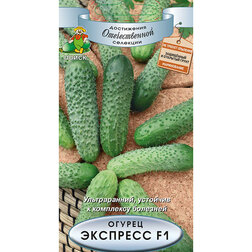 ����  ������ �������� F1, ������ �� 44 ���