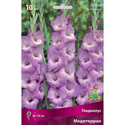 ����  ��������� ����������, ������ �� 476 ���