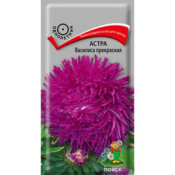 ����  ����� �������� ����������, ������ �� 26 ���