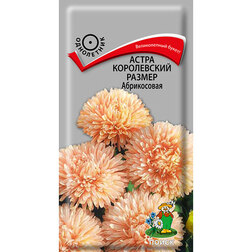 ����  ����� ����������� ������ �����������, ������ �� 26 ���