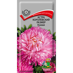 ����  ����� ����������� ������ �������, ������ �� 26 ���