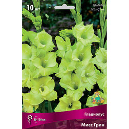 ����  ��������� ���� ����, ������ �� 476 ���