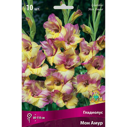 ����  ��������� ��� ����, ������ �� 399 ���