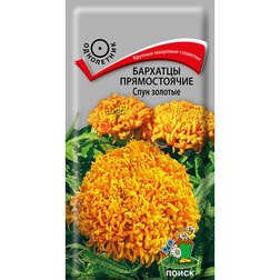 ����  �������� ������������ ���� �������, ������ �� 26 ���