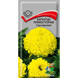 ����  �������� ������������ ���� ��������, ������ �� 26 ���