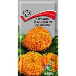 ����  �������� ������������ ���� ���������, ������ �� 26 ���