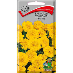 ����  �������� ������� Ƹ����, ������ �� 38 ���