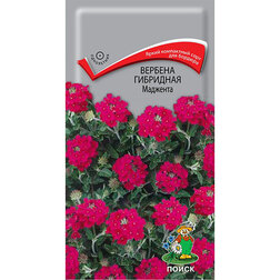 ����  ������� ��������� ��������, ������ �� 33 ���