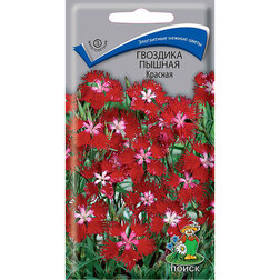 ����  �������� ������ �������, ������ �� 32 ���