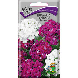 ����  �������� �������� ������, ������ �� 26 ���