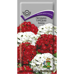 ����  �������� �������� �������, ������ �� 26 ���