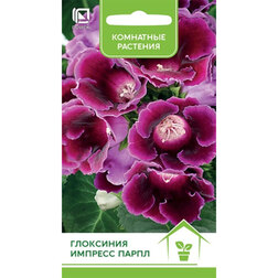 ����  ��������� ������� �����, ������ �� 74 ���