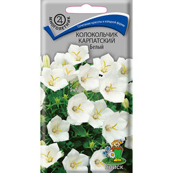 ����  ����������� ���������� �����, ������ �� 26 ���